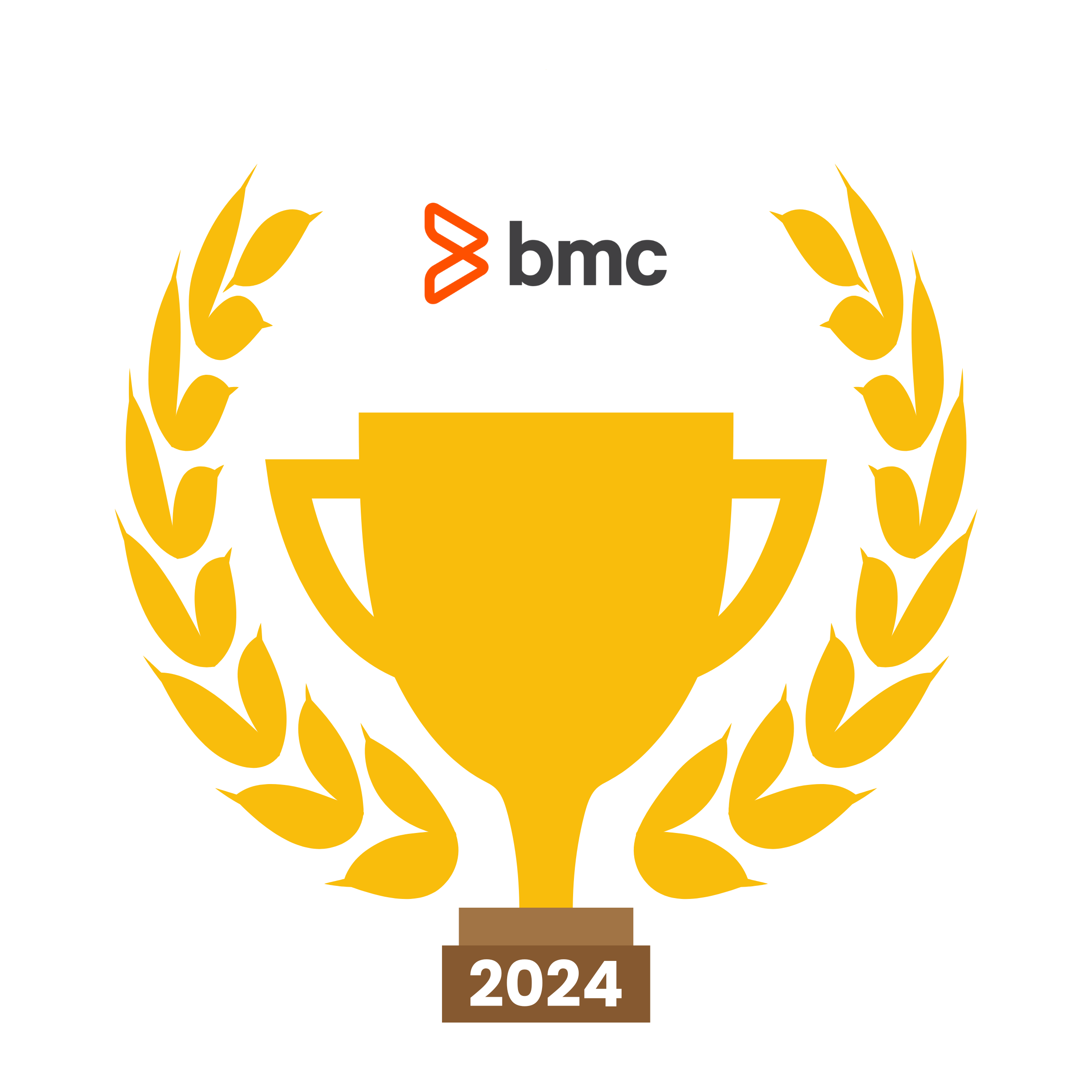 DSOM Partner of the Year 2024 Award